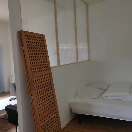 Maison Avec Jardin, Proche Ocean, 6 Pers, 3 Ch, Animations, Bbq, Parfait Famille/amis - Fr-1-50-81 Mimizan