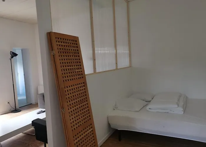 Maison Avec Jardin, Proche Ocean, 6 Pers, 3 Ch, Animations, Bbq, Parfait Famille/amis - Fr-1-50-81 Mimizan-Plage