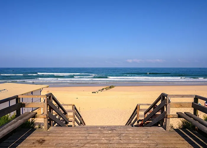 Maison Avec Jardin, Proche Ocean, 6 Pers, 3 Ch, Animations, Bbq, Parfait Famille/amis - Fr-1-50-81